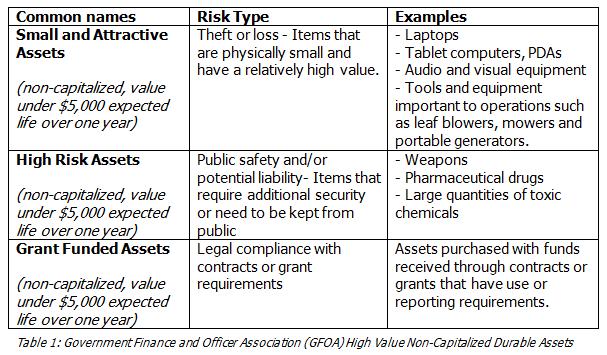 Durable equipment also includes two main types of assets: capital assets and noncapital assets that require extra safeguards.