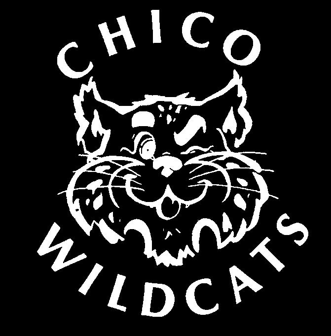 Wildcat mark for Athletics, designed in 1988.