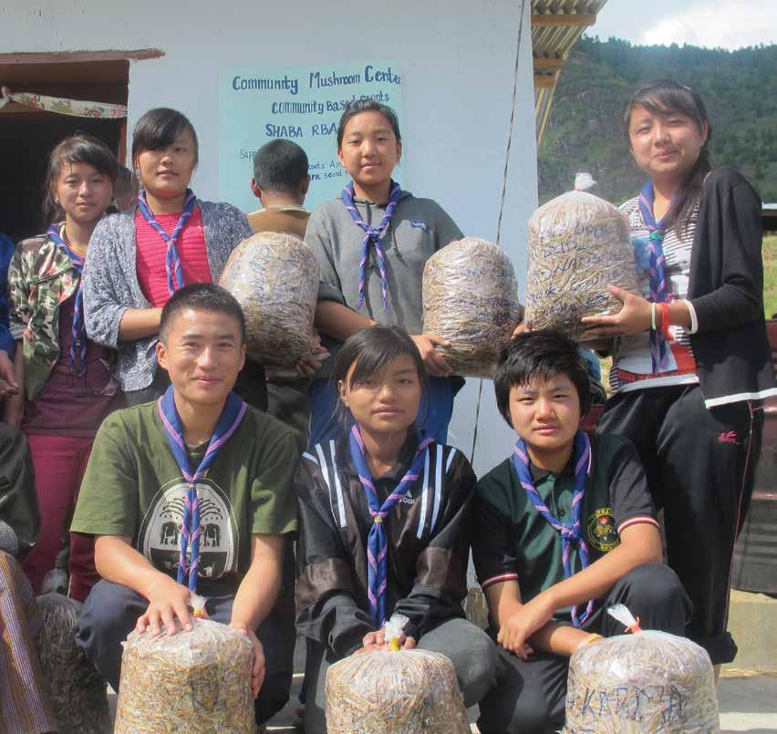 Foundation Projects Bhutan s mushroom cultivation project Bhutan Scouts Association (BSA) introduced mushroom cultivation to the Shaba community with the support of the APR Scout Foundation.