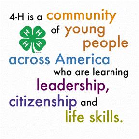 Welcome to Santa Rosa County 4-H This guide is designed especially for volunteers, members, and families involved in 4-H through community and project clubs and special school and community