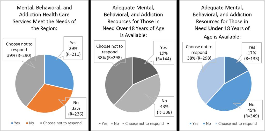 Respondents were given the opportunity to provide written, free-form responses expressing their opinion of the current drug addiction issue and its detriment to the region.