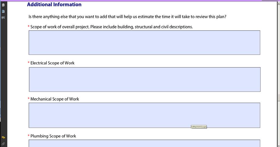In this section, please enter an accurate detailed description of the scope of work of the project.