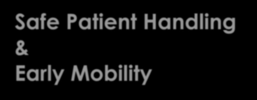Safe Patient Handling & Early Mobility This workshop is awarded two (2) contact hours through the New York State Nurses Association Accredited Provider Unit.