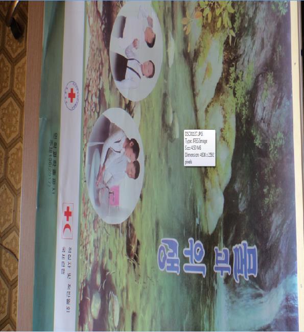 P a g e 14 Hygiene Promotion Flip Charts have been printed (Photo: DPRK RC/IFRC) SHELTER AND SETTLEMENTS Outcome 3: The immediate and medium-term household, shelter and settlement needs of the target