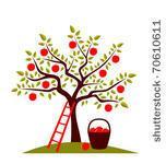 Mercier Orchards offers over 40 varieties of apples, homemade jellies and