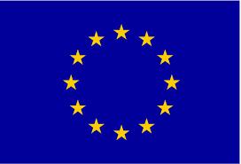 with funding by the European Union UNOV / UNICRI Call for Proposals Guidelines for grant applicants Name of the grants programme: Grant Initiative to Strengthen Cooperation with Civil Society