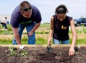 To date, the Harborside Academy Community Urban Garden has built a total of 60 raised beds and has produced over 10,000 pounds of produce, most of which has been harvested by students and used in