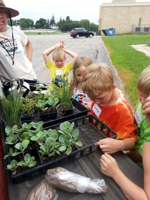 Vernon County: The Value of Internal Support and Fundraising The Viroqua Area School District has discovered just how produc7ve an internal partnership can be for their farm to school program.