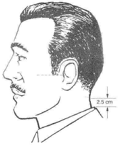 Hair Regulations NL226e, Navy League Cadet Dress Instructions, states that hair on the head shall be neatly groomed and conservatively styled.