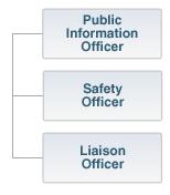Review: Command Staff Depending upon the size and type of incident or event, the Incident Commander may designate personnel to provide information, safety, and liaison services.