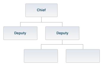 (e.g., Operations, Planning, Logistics, Finance/Administration). The person in charge of each Section is designated as a Chief.