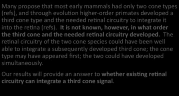 Many propose that most early mammals had only two cone types (refs), and through evolu*on higher- order primates developed a third cone type and the needed