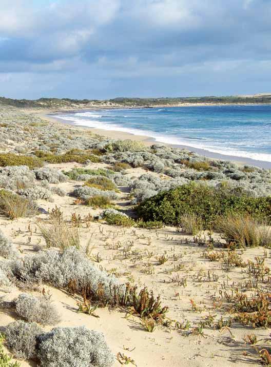 FNPW funded work to create the new 860 hectare Thidna Conservation Park in South Australia. Photo: Nick Neagle. How to get STARTED Step one Read through this Kit and get an idea of what is involved.