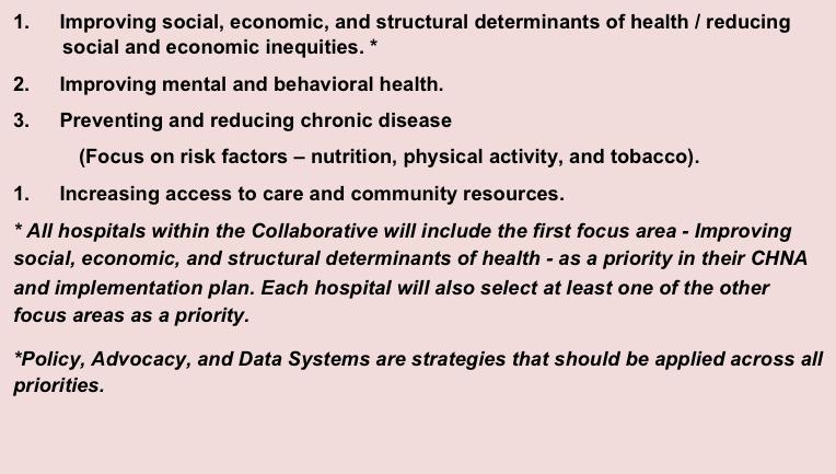 VIII. Identifying Priorities Health Impact Collaborative of Cook County (HICCC) Through a data-driven collaborative prioritization process, the HICCC identified four priority focus areas (Exhibit 30).