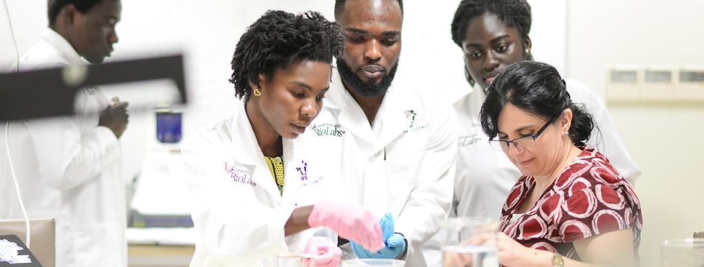 faculty research $50,000 Africa needs more from Ashesi more growth, more high-impact majors, and more scholarships for