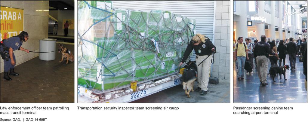 Figure 1: Various Types of Canine Teams Canines undergo 10 weeks of explosives detection training before being paired with a handler at TSA s Canine Training and Evaluation Section (CTES), located at