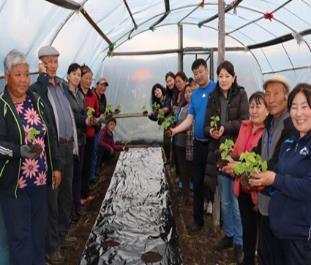 As part of project activities under output 1 promoting community based tourism goods and services through, vegetable growing training has been conducted on 10 June 2016.