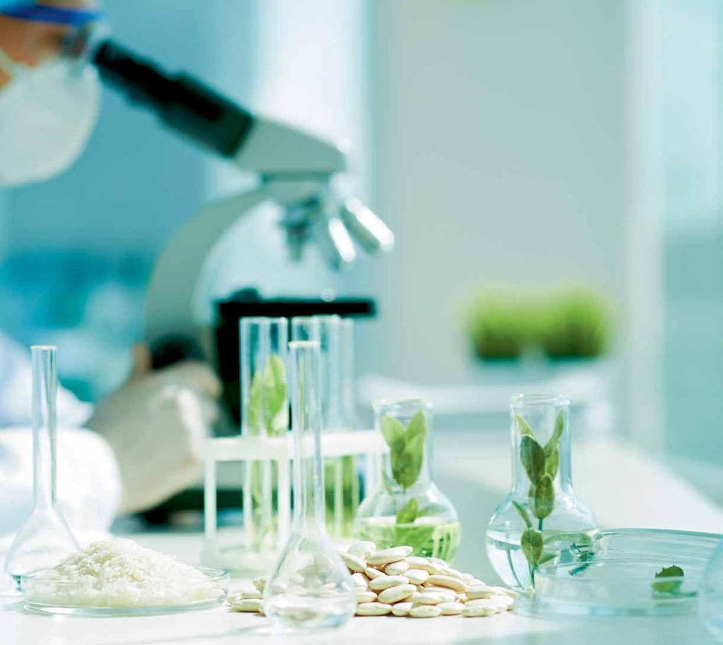 Labs Research programme on healthy and sustainable food A large-scale research programme will be set up at the World Food Center, in which researchers and consumers will work together on the