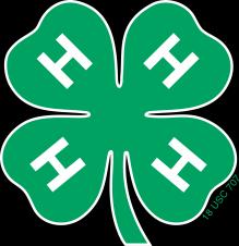 If you have questions about this process feel free to contact the Clayton County Extension Office. Each 4-H member is responsible for entering their own ID s. Directions and help sheets are at www.