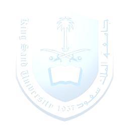 2013 King Saud University