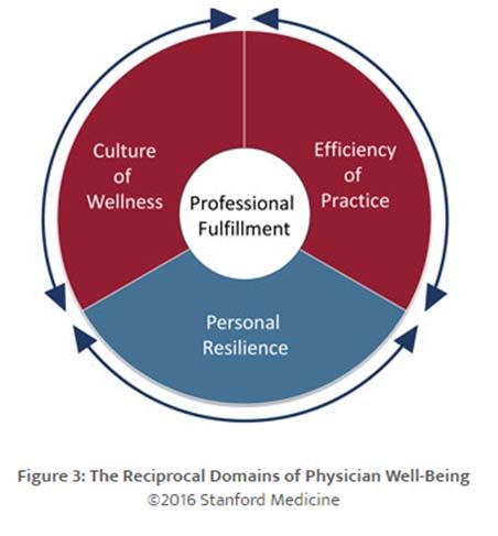 with leaders and/or staff to discuss data and interventions to promote wellness Initiate selected interventions Repeat the survey within the year to re-evaluate wellness Seek answers within the data,