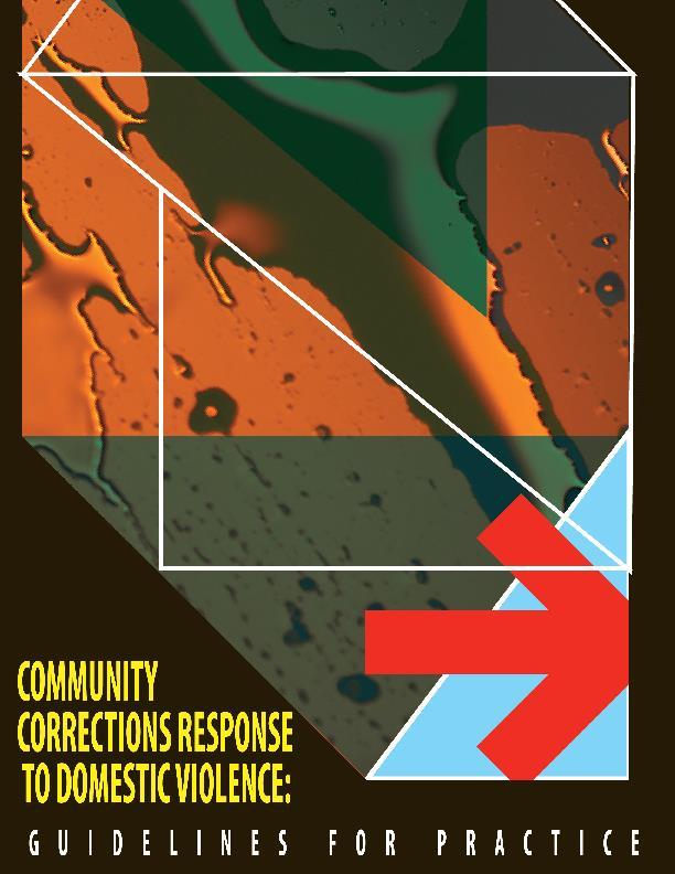 Community Corrections Response to DV: Guidelines for Practice Professionalism & Ethical Practice Case Investigation