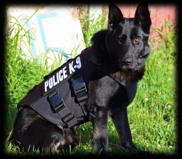 K-9 UNIT In 2016, the K9 unit responded to multiple requests for assistance for LPD, Ohio State Patrol and the ACSO.