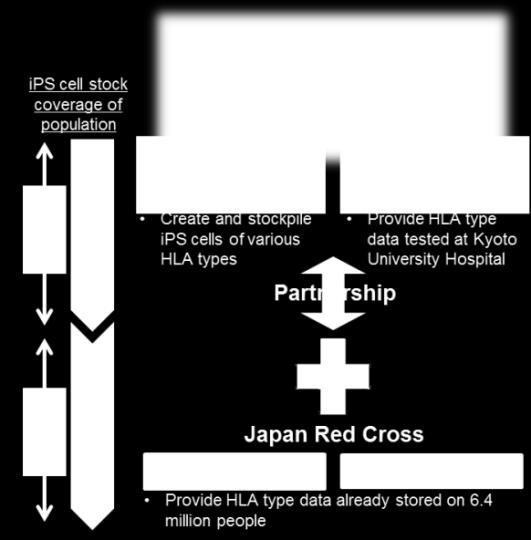 3-2. World-class environment for R&D Kyoto University`s CiRA Research Institute, the world leader in ips cell research, is targeting the initiation of regenerative medicine research in humans, the