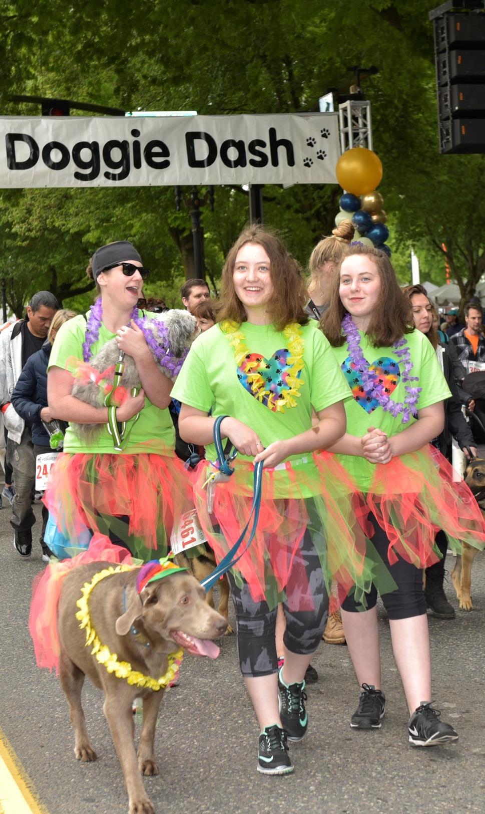 $15,000 Diamond Sponsor Customized sponsorship package to meet your business objectives Featured on the Doggie Dash home webpage, sponsor webpage and Facebook event page Recognized as a matching