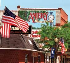 Amery Community Foundation Mission Statement It is the goal of the Amery Community Foundation to enhance the quality of life in the Amery area and all of Polk County.