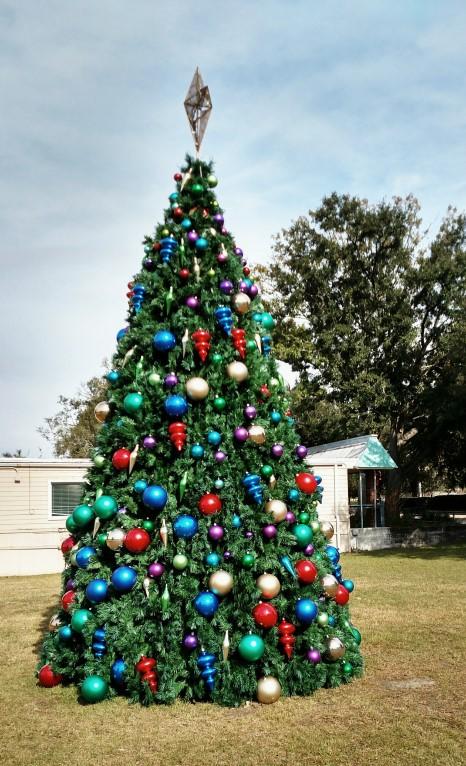 Page 2 HAPPY NEW YEAR 2019 Calendar of Events & Activities 2019 MEETINGS & EVENTS Alachua Christmas Tree and Parade JANUARY 7 MCL-VVA Social 15 MCL Staff Meeting 22 MCL Regular Meeting 26 MLYM