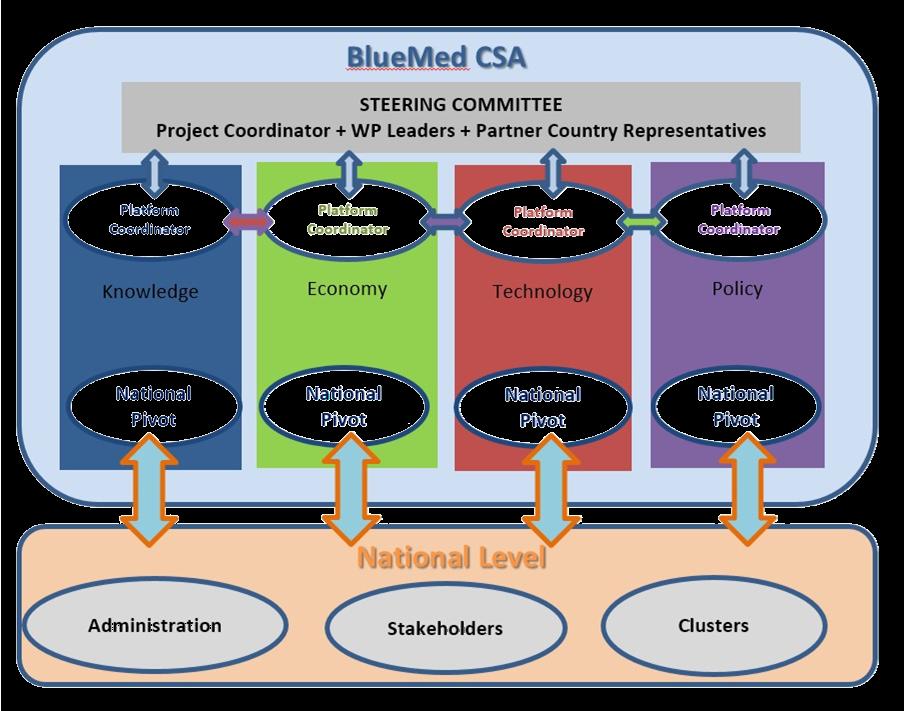BLUEMED Platforms A tool for stakeholders consultation and engagement Setting the frame for the