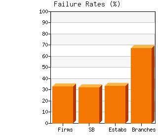 Failure Rates Failure Rates 2010q2 to 2012q2 Failure Rates Establishments: 33.33% Firms: 32.50% Small Businesses: 31.86% Branches: 66.