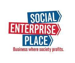 Social business ventures The entrepreneur sets up a for-profit entity or business to provide a social or ecological product or service.