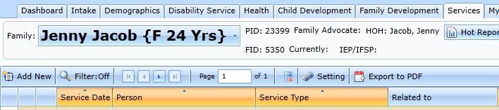 To enter family services not directly related to the family needs assessment, go to Services tab. Click Add new and the box will open. Select Service or Referral as appropriate.
