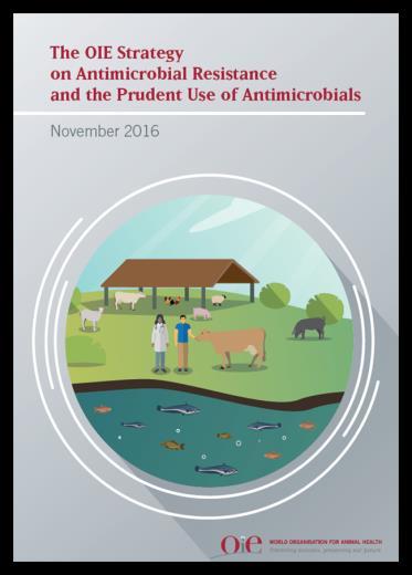 National AMR Committee Sub committees: AMR surveillance Antimicrobial