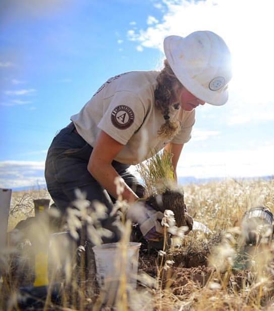 We recognize Conservation Corps as essential partners in meeting ongoing demands for natural resource management needs.