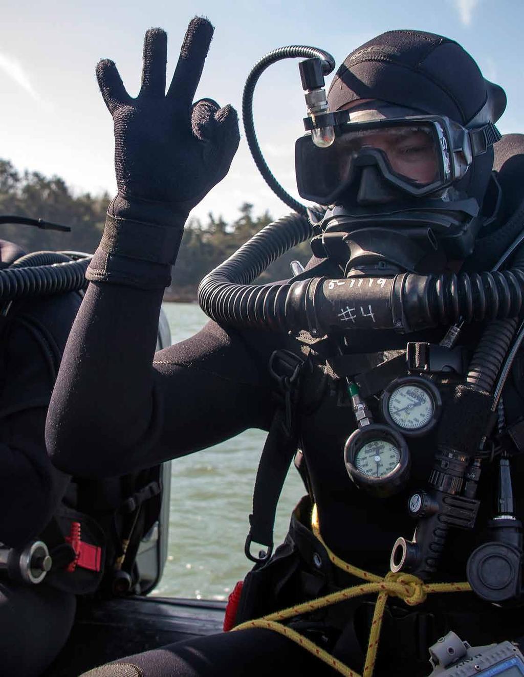 Explosive ordnance disposal technicians prepare to dive during a training exercise. (U.S.