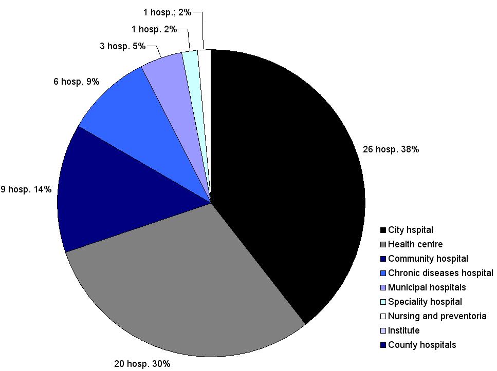 Figure 3. Percentrage of structured hospitals, by type sent 12,64% of all hospitals providing services at the time of hospital restructuring decision). 2.