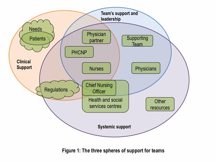 Supporting teams integrating a PHCNP Professionals capacity to develop effective and satisfactory clinical practices depends primarily on the energy, openness, and mutual trust of the clinicians
