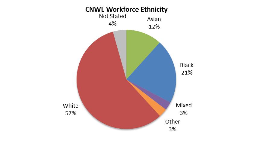 A1.1. Ethnicity Overall workforce profile The charts below show the ethnic profile of all the employees within the Trust.