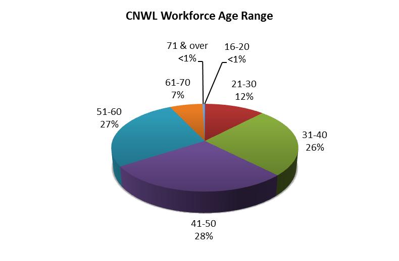 A1.2. Age Overall workforce profile The chart below shows the age profile of the