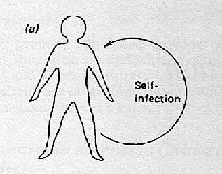 Self-infection or endogenous Infection Infection