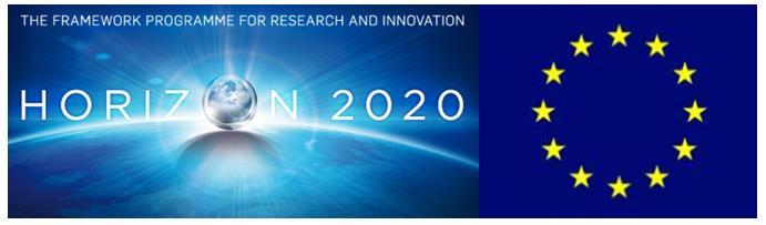 Horizon 2020 European Framework Programme for 2014-2020 79 billion total available for research and innovation Goals: -Responding to