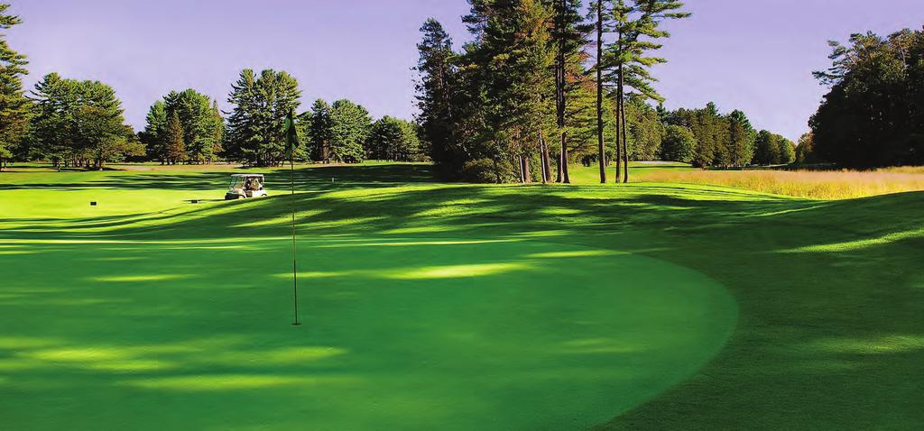 Together toward tomorrow Additional activities. Golf Tournament $130 per person Wednesday, May 30 9:00 a.m. 2:00 p.m. The NYIA Annual Golf Tournament will be played on the Saratoga Spa Golf Course.