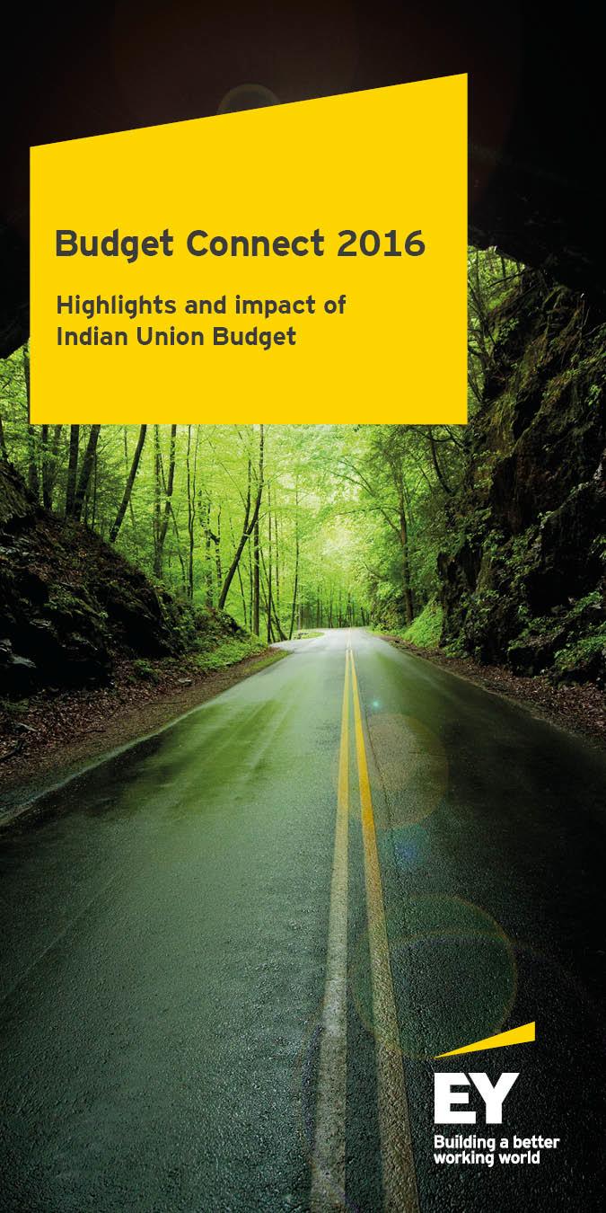 survey India 2015 Enabling the prospects Budget
