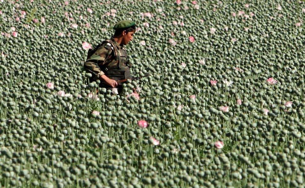 Afghanistan: NOW Afghanistan has the world s largest supply of Heroine which makes corruption and drug trafficking a way of life. The drug money finances the terror operations of the Taliban.