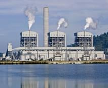 construction know-how - Human Resource : Power Plant Experts 504 ppl (including 197