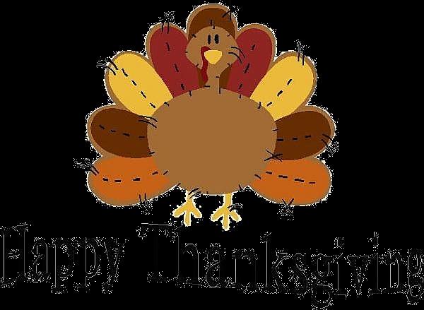 We are having two separate Thanksgiving celebrations, so that the number of visitors we have