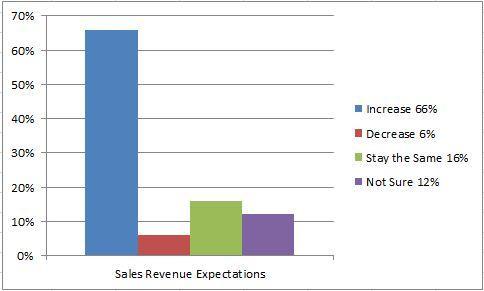 HOW WILL YOUR COMPANY S SALES REVENUES BE IN 2017?
